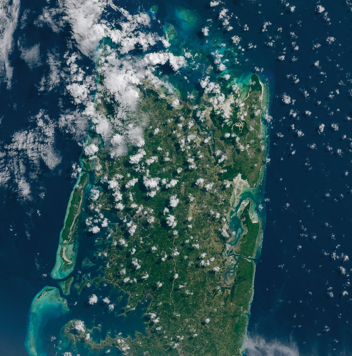 Satellite view of Pemba Island, Tanzania, with the pale shallow lagoons on its coast where seaweed is farmed.
