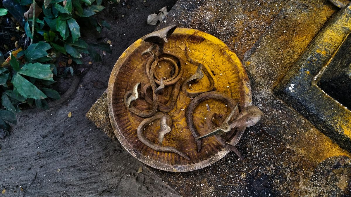 Carved stone snakes coiled on a round stone offering place, yellow with turmeric, in a Kerala sacred grove.