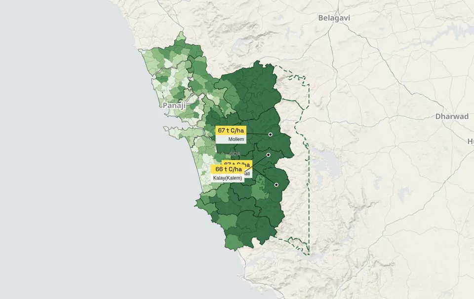 The Goenche map answering "Trees and carbon"