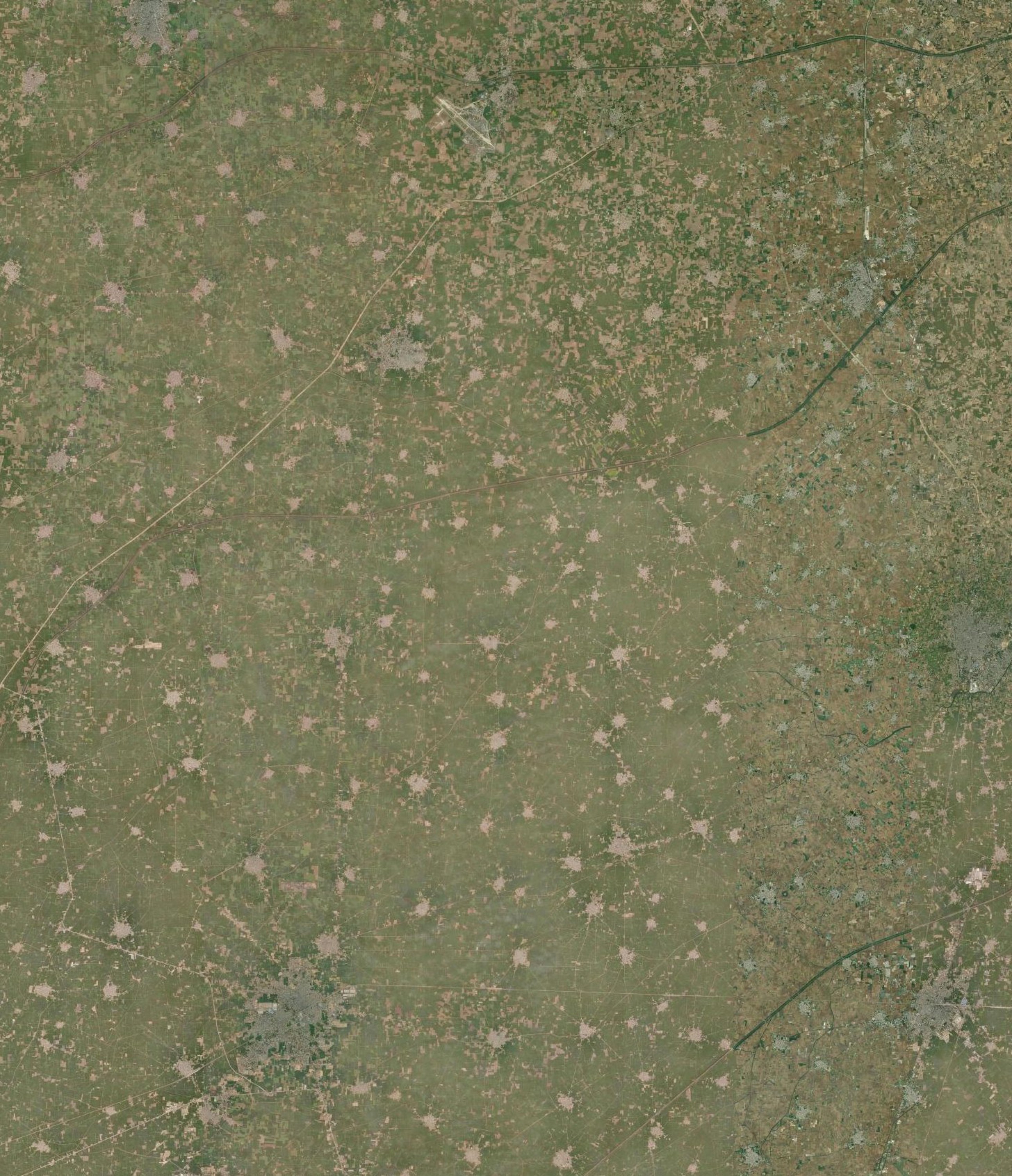 Optical satellite view of the same frame, Sangrur–Ludhiana, Punjab, for orientation